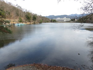 今日のむしむし210111