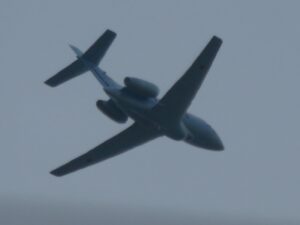 今日のむしむし210212
