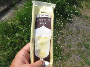 今日のむしむし210424