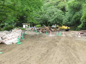 今日のむしむし210606