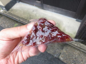 今日のむしむし210613