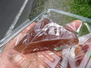 今日のむしむし210620