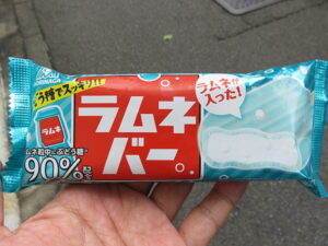 今日のむしむし210704