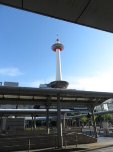 今日のむしむし210722