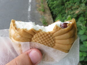 今日のむしむし210801