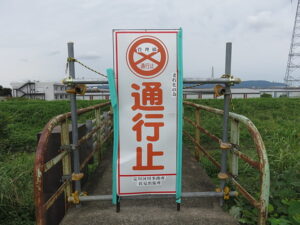今日のむしむし210816