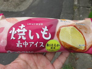 今日のむしむし210912