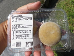 今日のむしむし211003