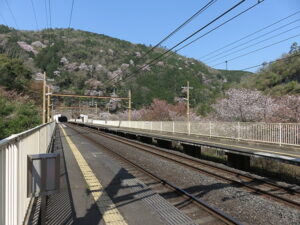 今日のむしむし220410