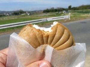 今日のむしむし220416