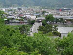 今日のむしむし220514-嵐山-北嵯峨