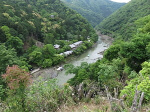 今日のむしむし220514-嵐山-北嵯峨