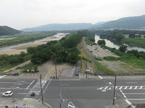 今日のむしむし220618-淀水路-宇治川