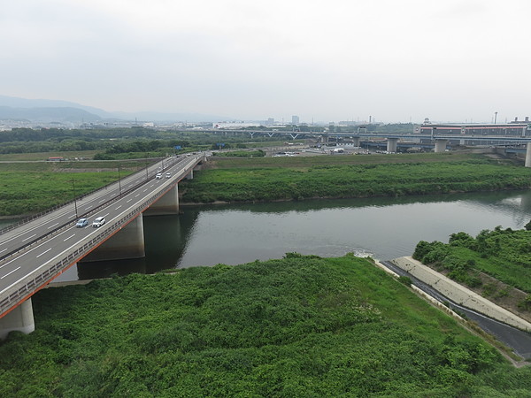 今日のむしむし220618-淀水路-宇治川