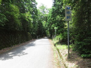今日のむしむし220626-水尾