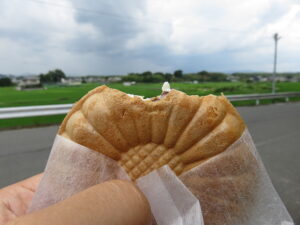 今日のむしむし220717-善峰道