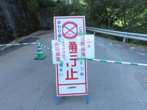 今日のむしむし220731-保津峡-嵐山