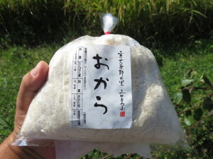 今日のむしむし221002-大原野
