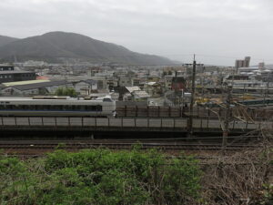 今日のむしむし230325-山科疏水