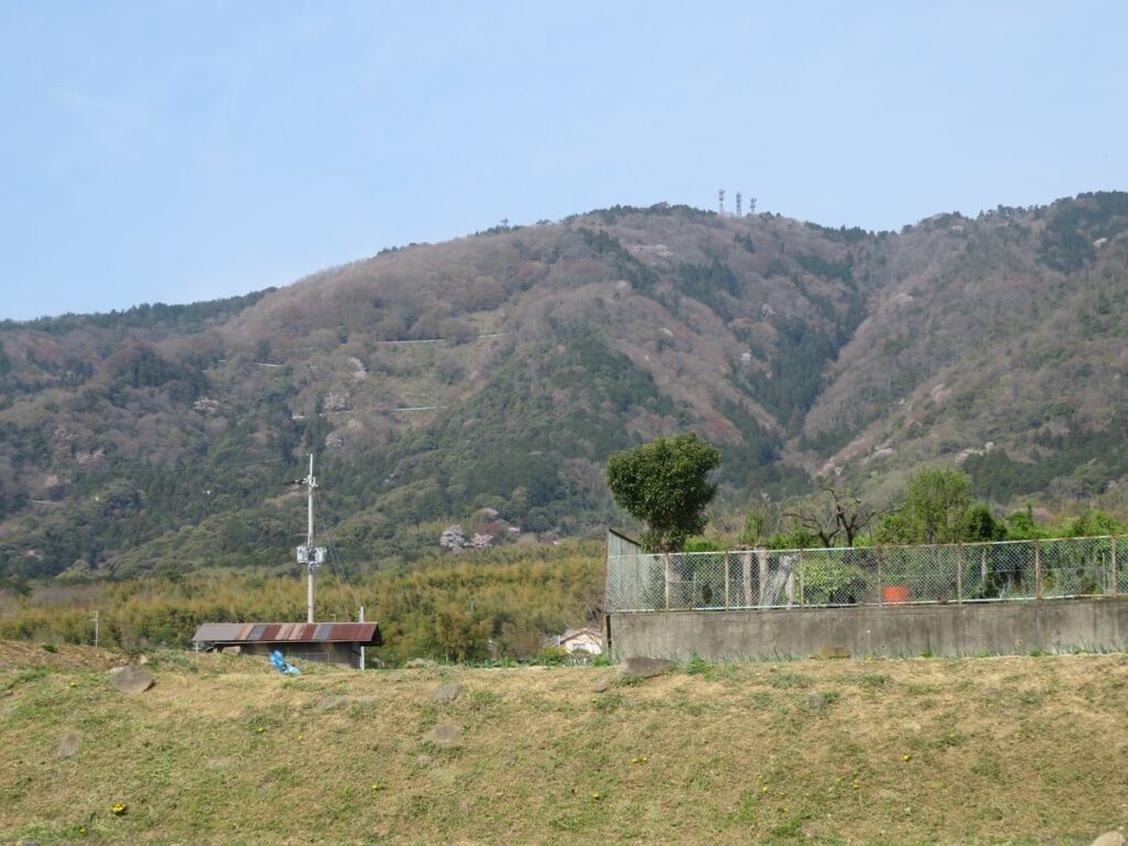 今日のむしむし230402-小塩山