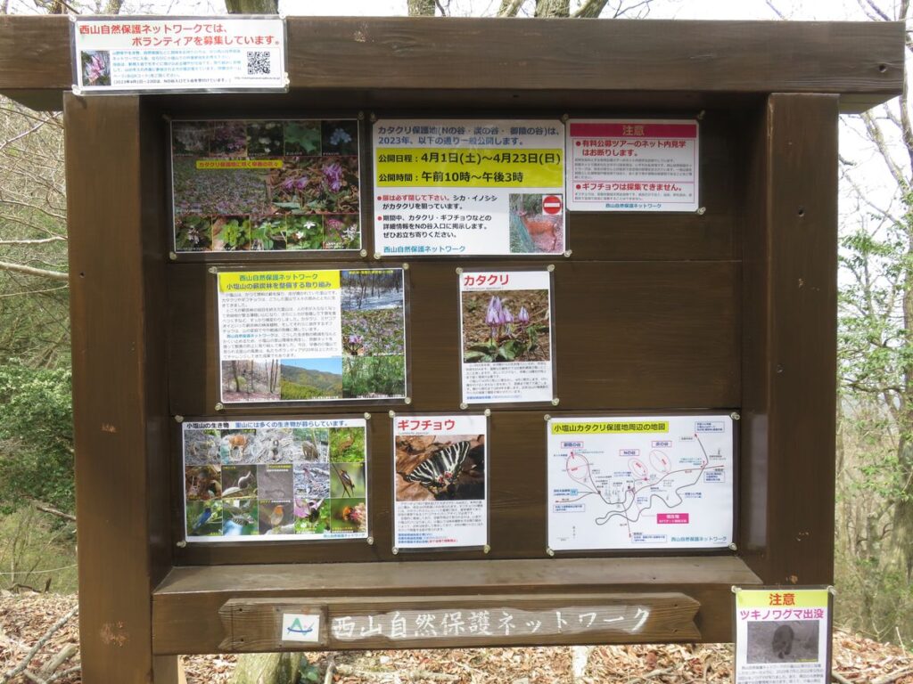今日のむしむし230402-小塩山
