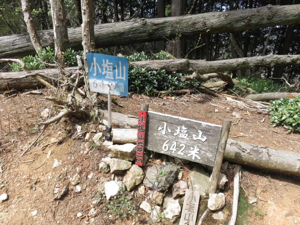 今日のむしむし230402-小塩山