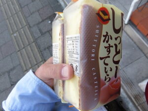 今日のむしむし230409-小塩山