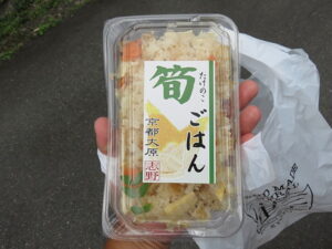今日のむしむし230528-大原