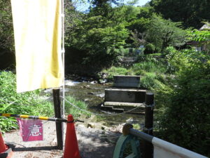 今日のむしむし230717-比叡山