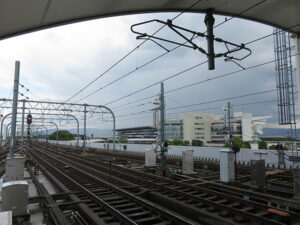 今日のむしむし231015-淀水路