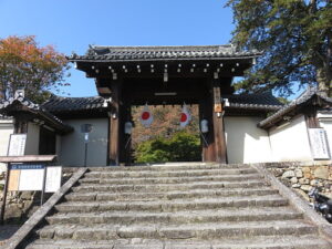 今日のむしむし231103-岩倉