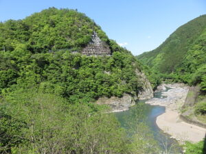 今日のむしむし240504-保津峡-水尾