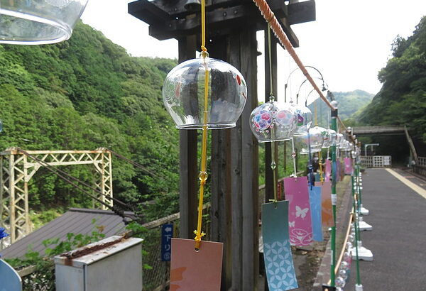 今日のむしむし240815-保津峡-清滝
