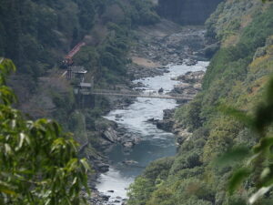 今日のむしむし241027-保津峡-北嵯峨