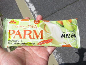 今日のむしむし250412-貴船-市原-賀茂川