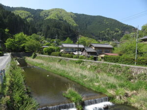 今日のむしむし250426-貴船