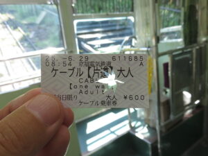 今日のむしむし250629-比叡山