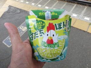 今日のむしむし250720-貴船