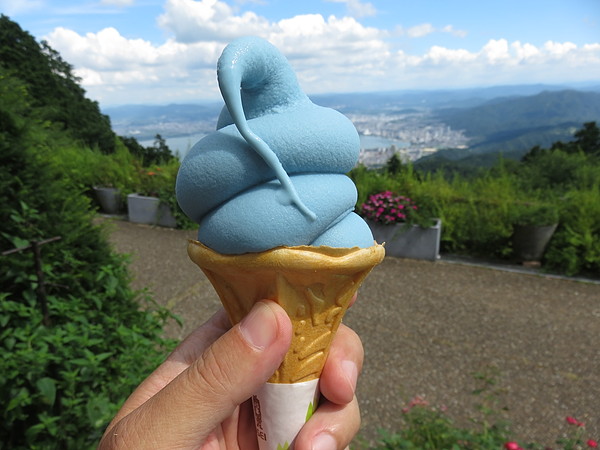 今日のむしむし250721-比叡山