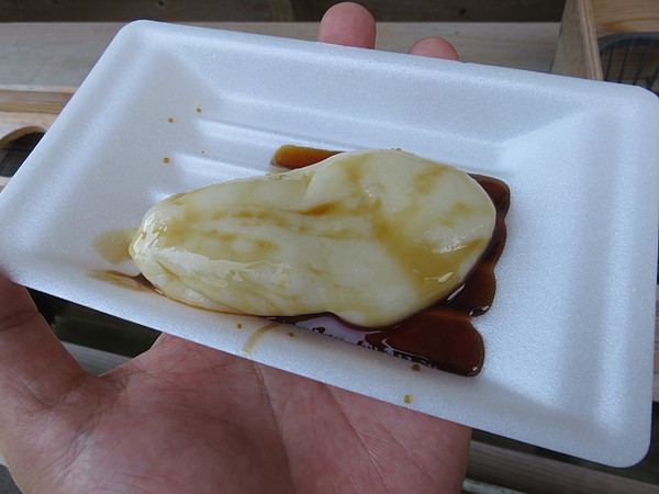今日のむしむし250907-大原