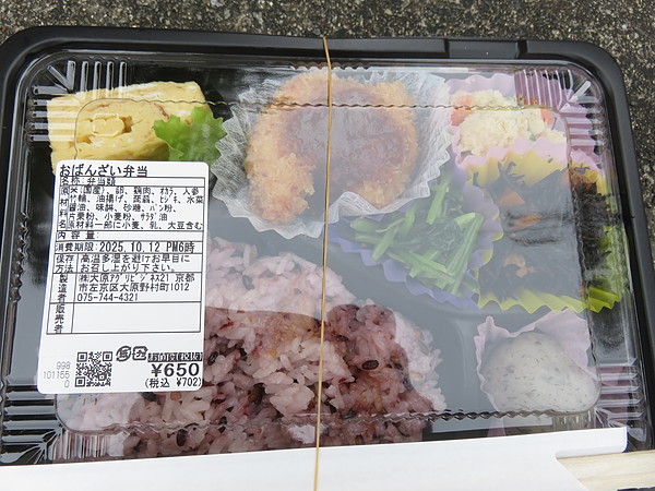 今日のむしむし251012-大原