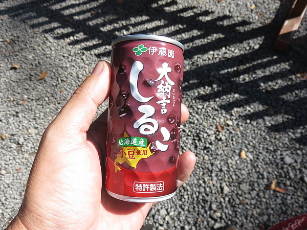 今日のむしむし251108-貴船-市原