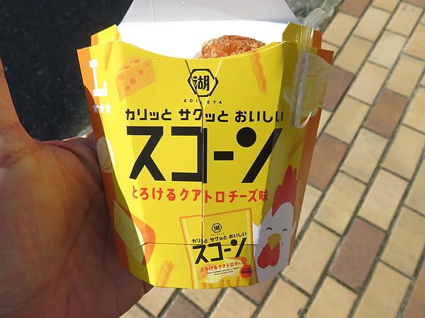 今日のむしむし251108-貴船-市原