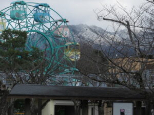 今日のむしむし260103-南禅寺
