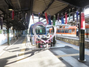 今日のむしむし260502-貴船