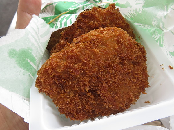 今日のむしむし260523-宇治川(伏見-淀)