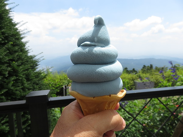 今日のむしむし260720-比叡山