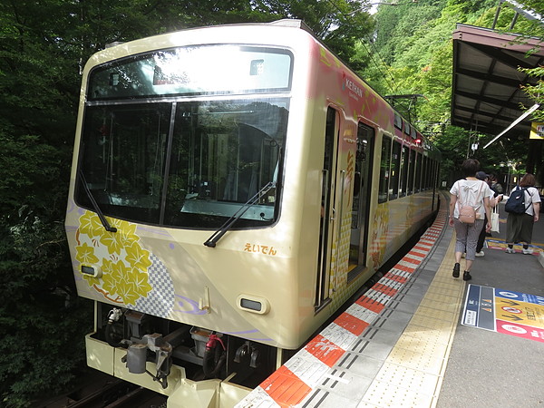 今日のむしむし260808-貴船