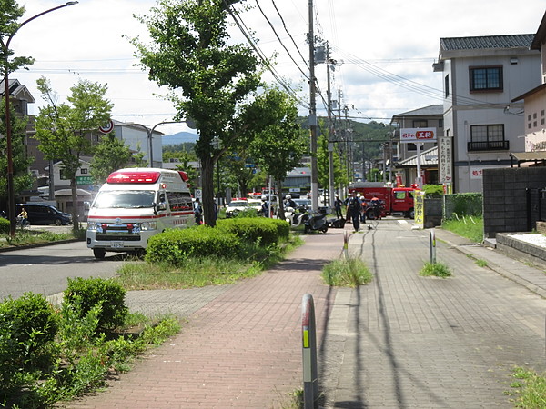 今日のむしむし260808-貴船