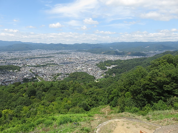 今日のむしむし260810-大文字山